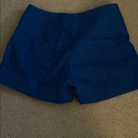 The Limited Shorts - Picture 3 of 3